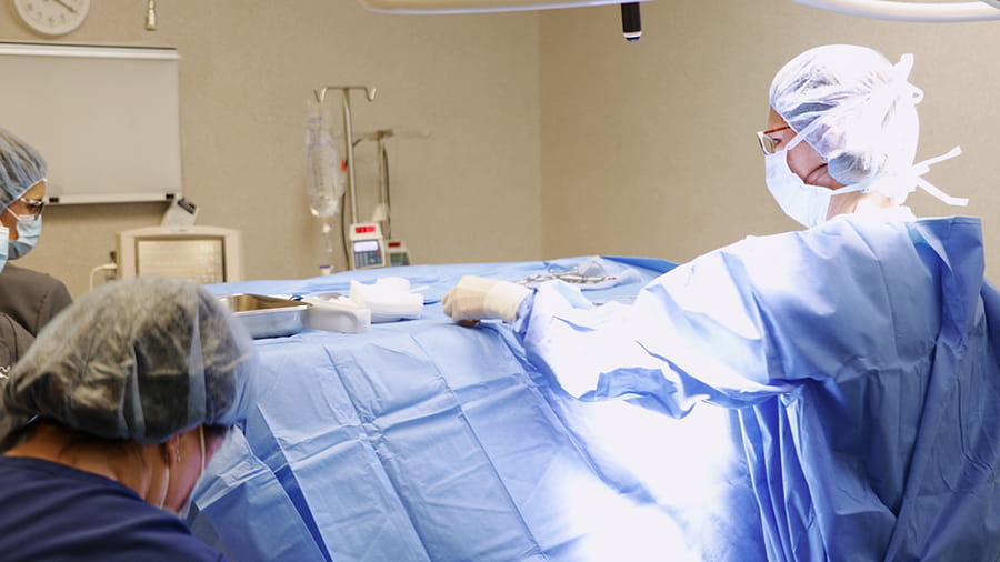 Veterinary staff in surgery at VCA Smoketown