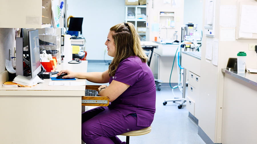 Veterinary staff at VCA Smoketown