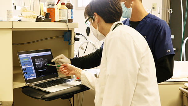 Veterinary staff looking at dental x-rays at VCA Smoketown