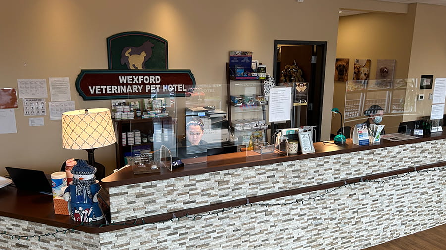 Reception at VCA Wexford Animal Hospital Pet Hotel