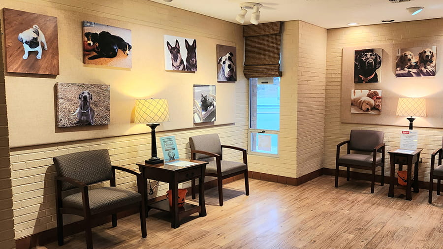 Reception at VCA Wexford Animal Hospital