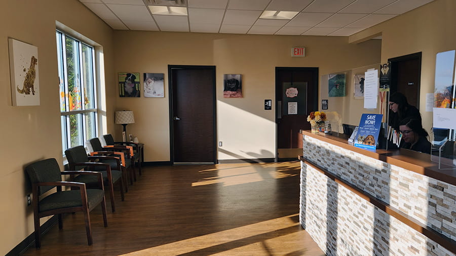 Reception at VCA Wexford Animal Hospital