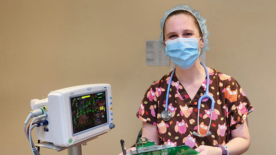 Anesthesia technician at VCA Wexford Animal Hospital