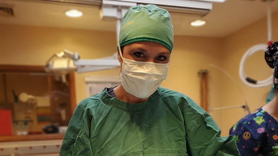 Veterinarian in surgery at VCA Wexford Animal Hospital