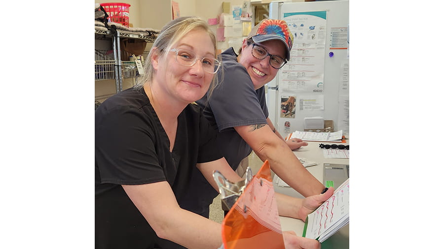 Boarding staff at VCA Wexford Animal Hospital