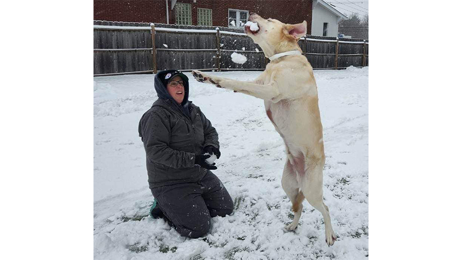 Boarding staff playing with dog in the snow at VCA Wexford Animal Hospital