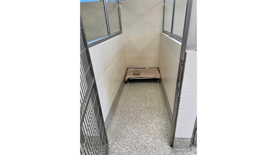Dog kennel at VCA Wexford Animal Hospital