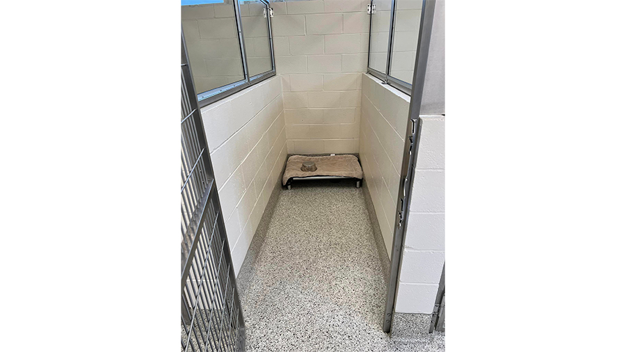 Dog kennel at VCA Wexford Animal Hospital