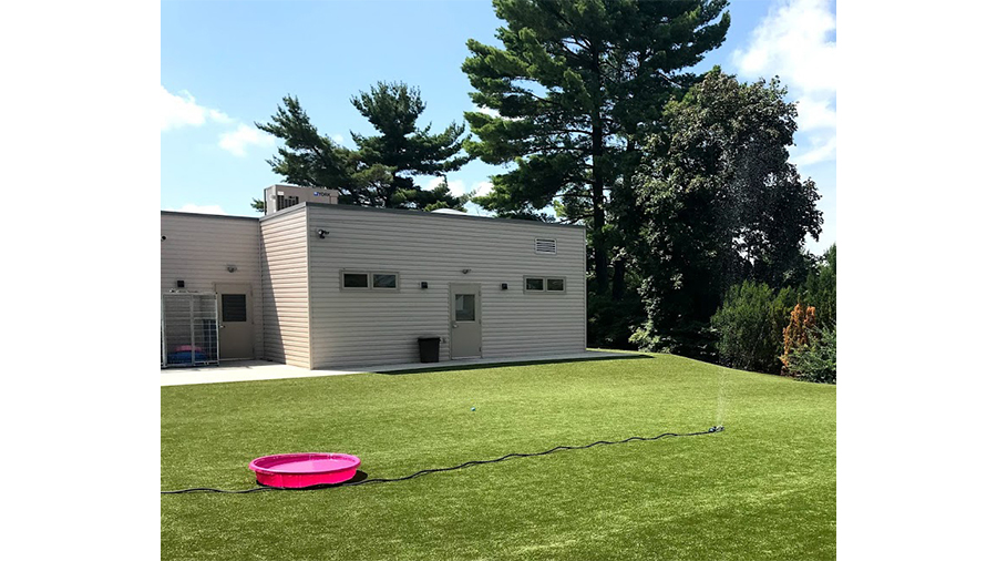 Pink pool and sprinkler in the yard at VCA Wexford Animal Hospital Pet Hotel