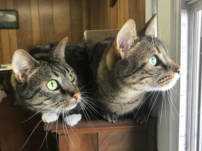 Laura D. Staff Photo