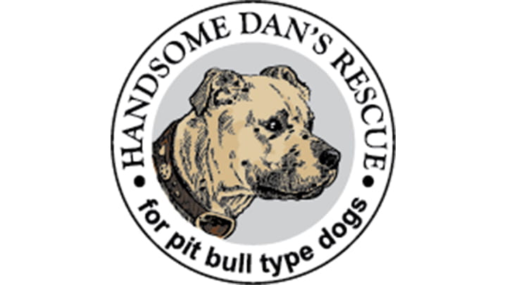 Handsome Dan's Rescue