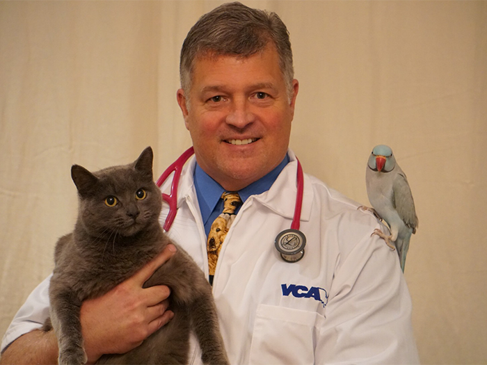 Charles Kinard | VCA Creekside Animal Hospital