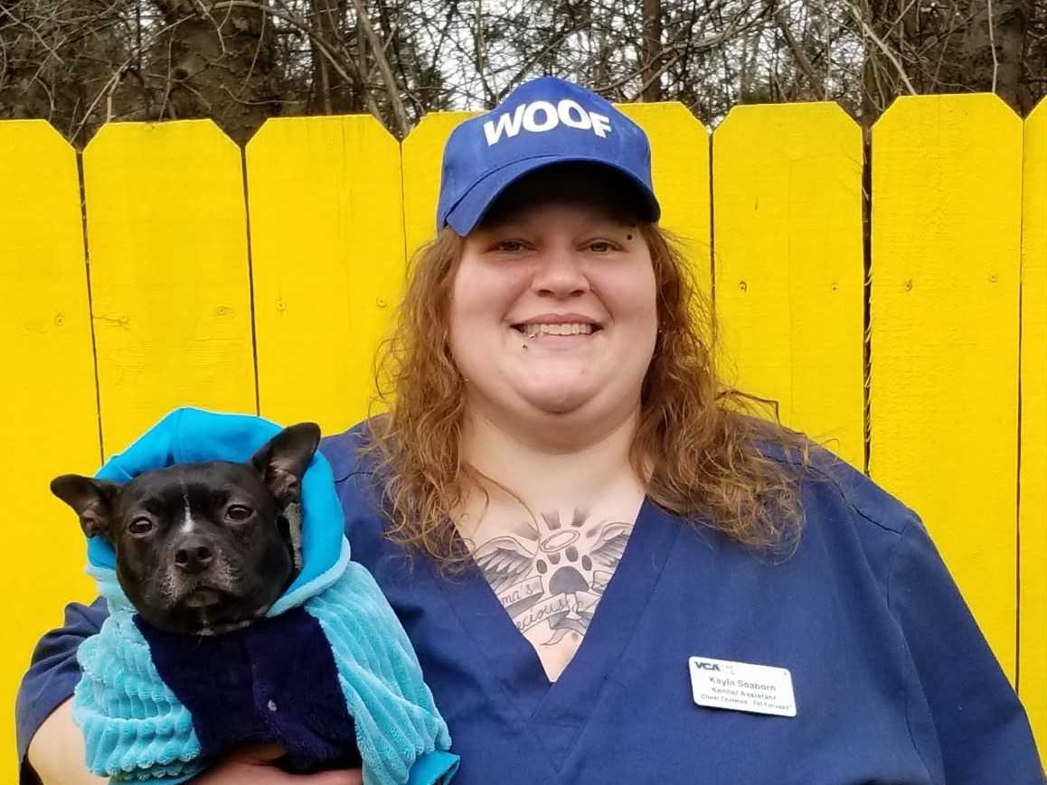 Top 97 + Mt juliet animal clinic