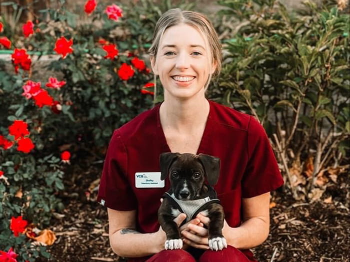 Shelby R. Staff Photo