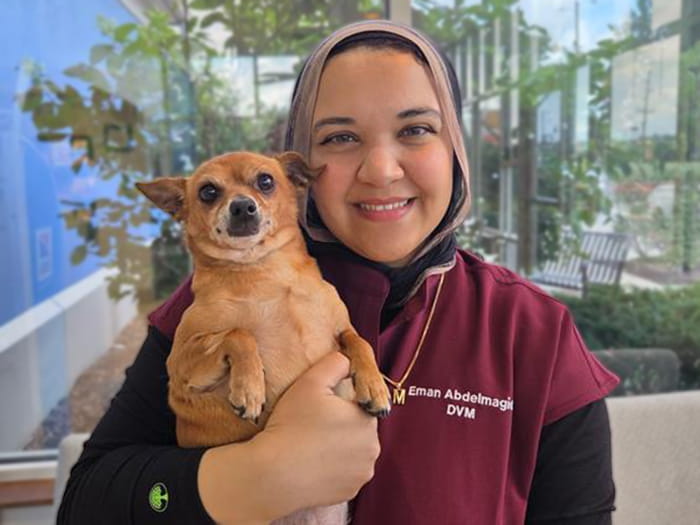 Dr. Eman Abdelmagid Staff Photo