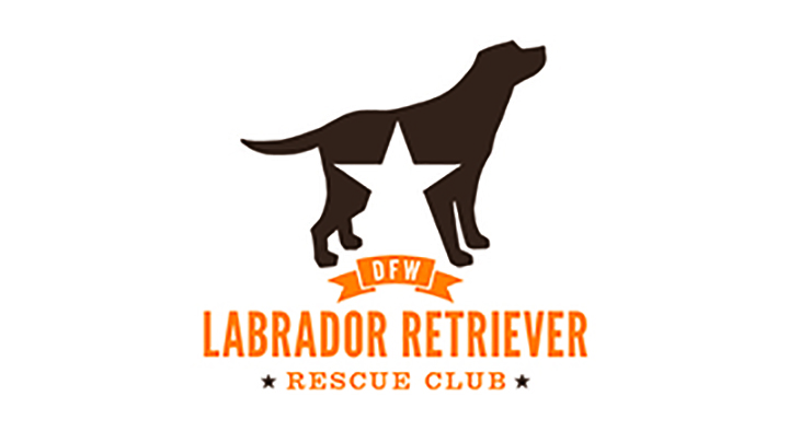 DFW Labrador Retriever Rescue Club Community Partner Photo