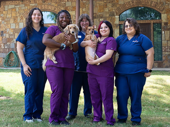 Pet Care Specialists Team at VCA Angel Animal Hospital
