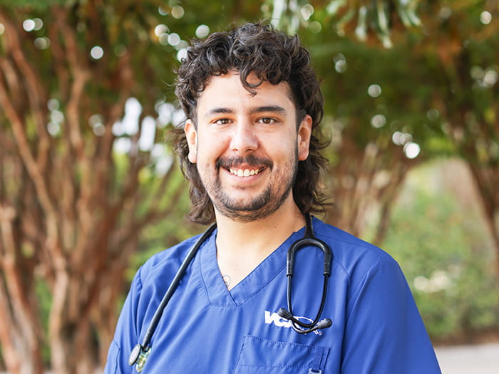 Zach Hindman Staff Photo