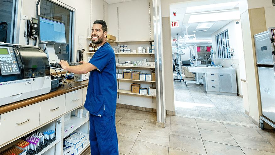 Primary Care in San Antonio, TX | VCA Becker Animal Hospital VCA Animal ...