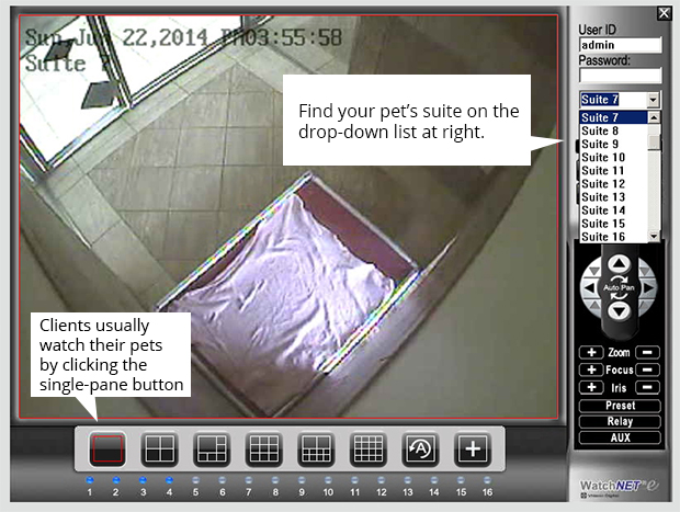 Screen illustrating successful pet cam view.