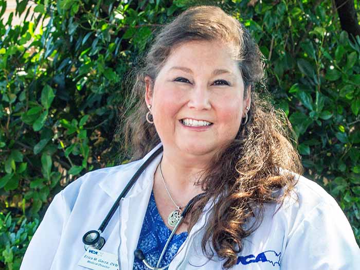 VCA Ben White Animal Hospital Staff Page