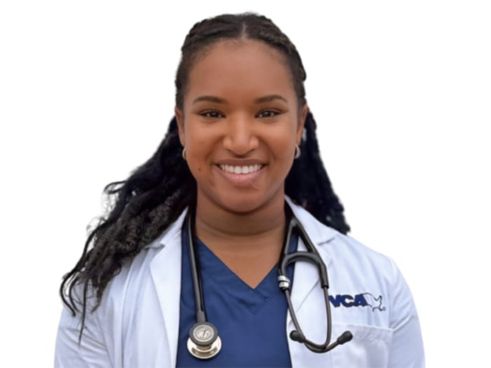 Dr. Kacey Joseph Staff Photo
