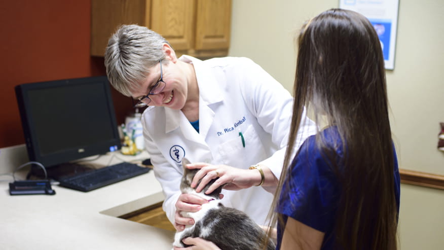 876x493 bent tree exam