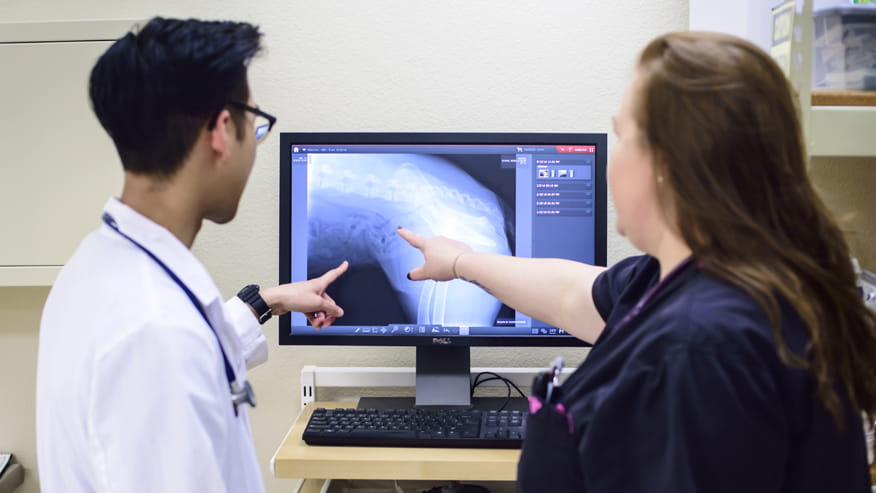 876x493 bent tree radiology