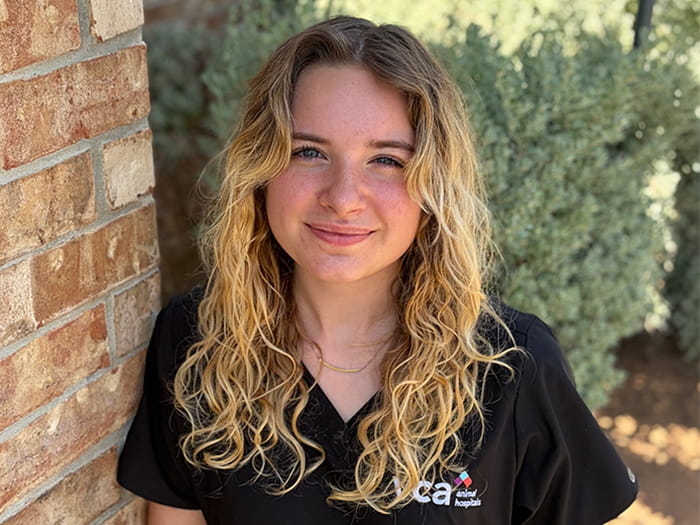 Ava Staff Photo