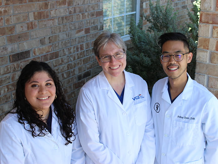 VCA Bent Tree Veterinarians 2022