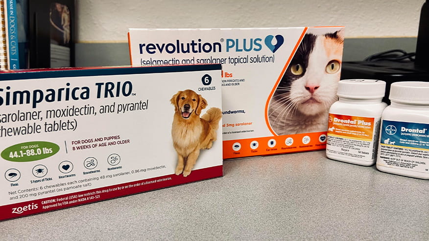 parasite control medications