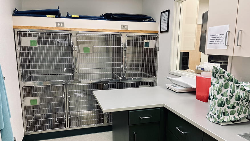 Callfield Intensive Care