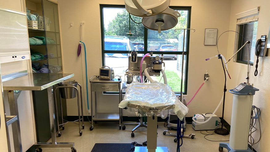 VCA Callfield Surgery Suite