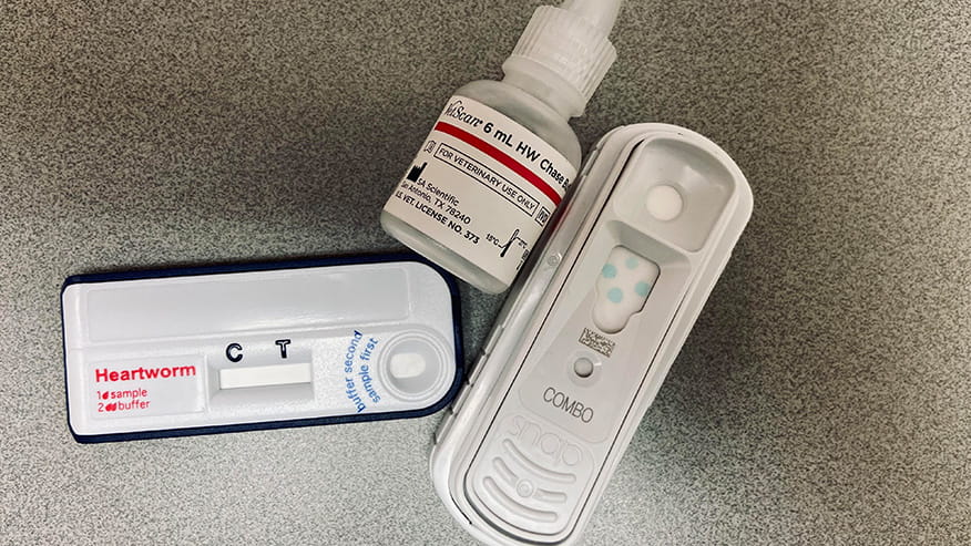 Veterinary wellness testing kit