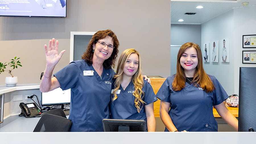 VCA Castle Hills Companion Animal Hospital Associates