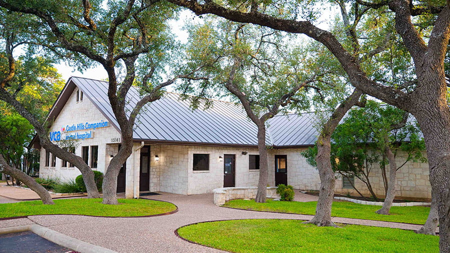 VCA Castle Hills Companion Animal Hospital Exterior
