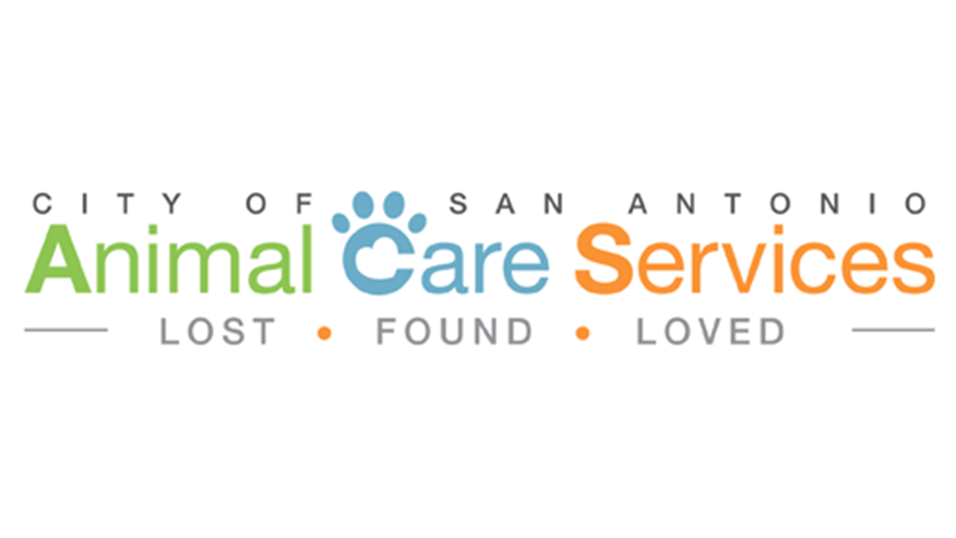 Our Hospital | VCA Castle Hills Companion Animal Hospital
