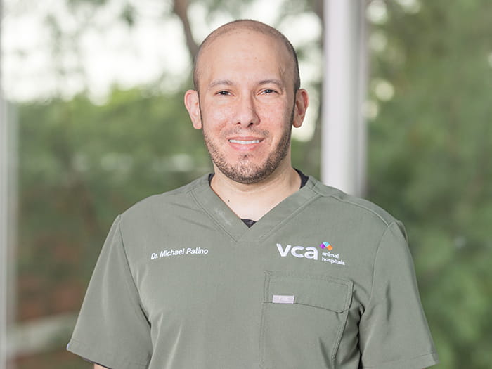 Staff Image