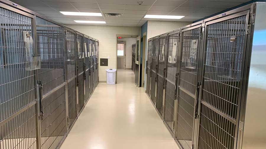 Large kennel runs at VCA DeSoto
