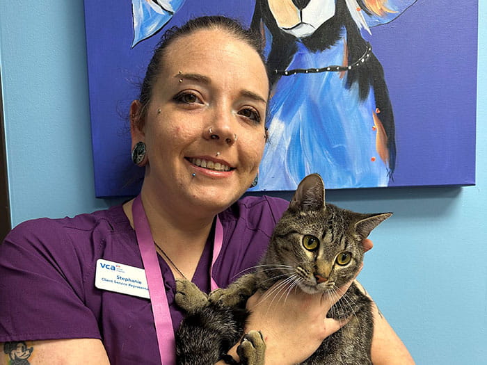 Stephanie Hickey Staff Photo