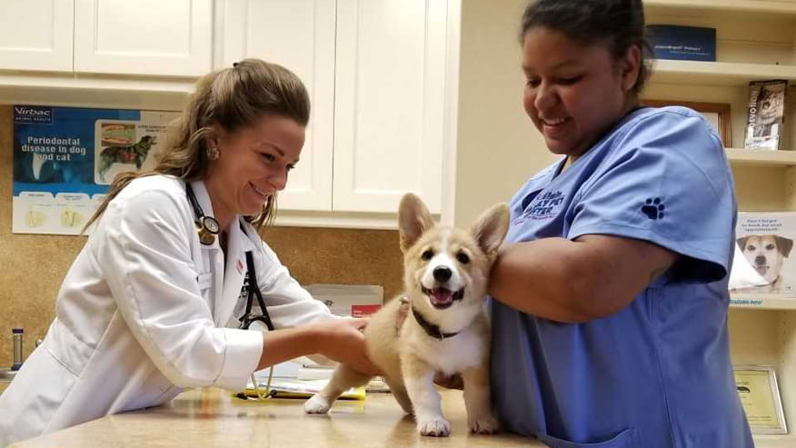 876x493 elgin primary