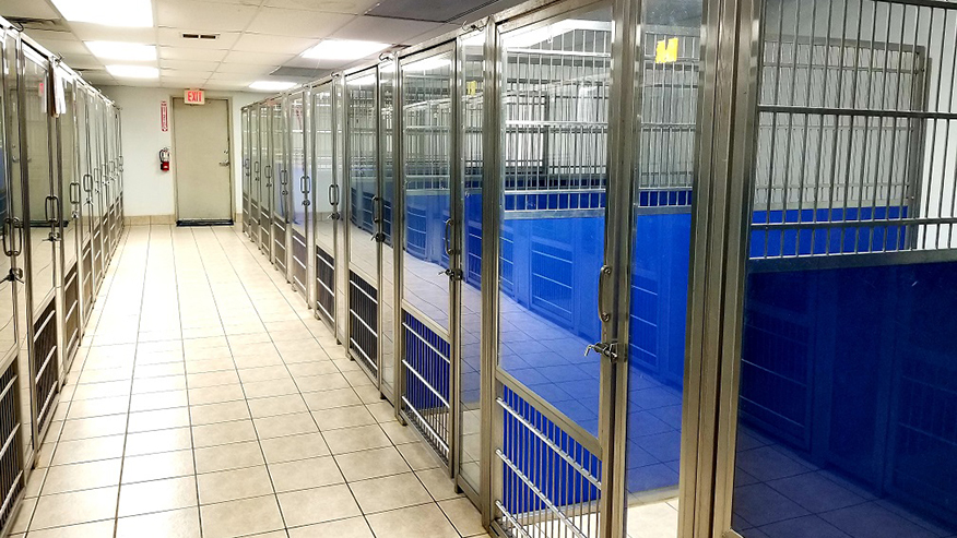 Climate-Controlled Boarding at VCA Fort Worth Animal Medical Center