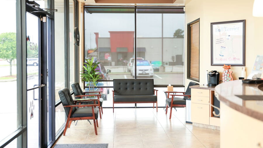 VCA Four Seasons Animal Hospital Lobby