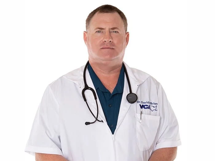 Dr. David O'Brien Staff Photo