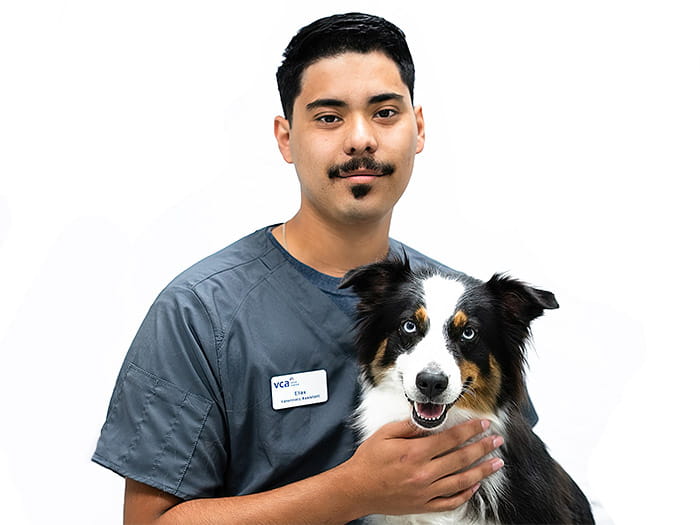 Elias Staff Photo