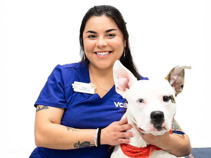 Kaila Staff Photo