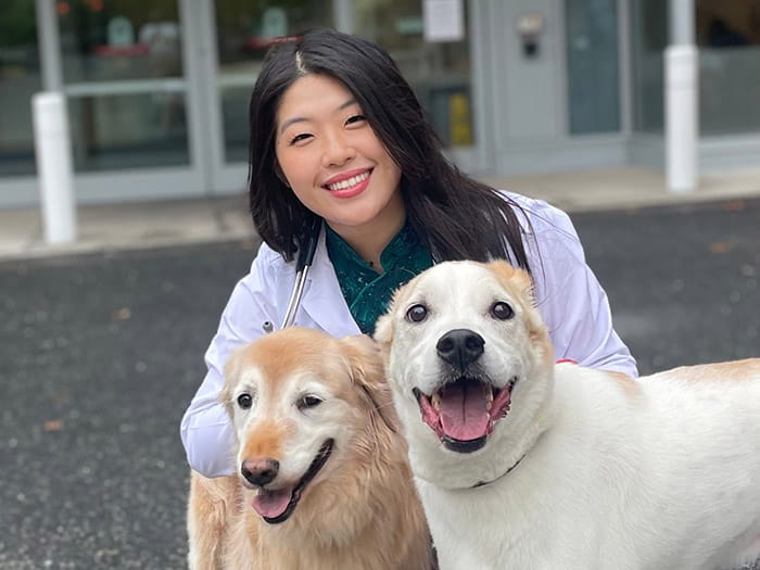 Dr. Rebecca Lee Staff Photo