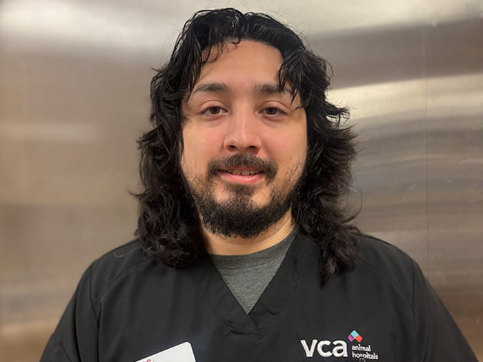 David D. Staff Photo