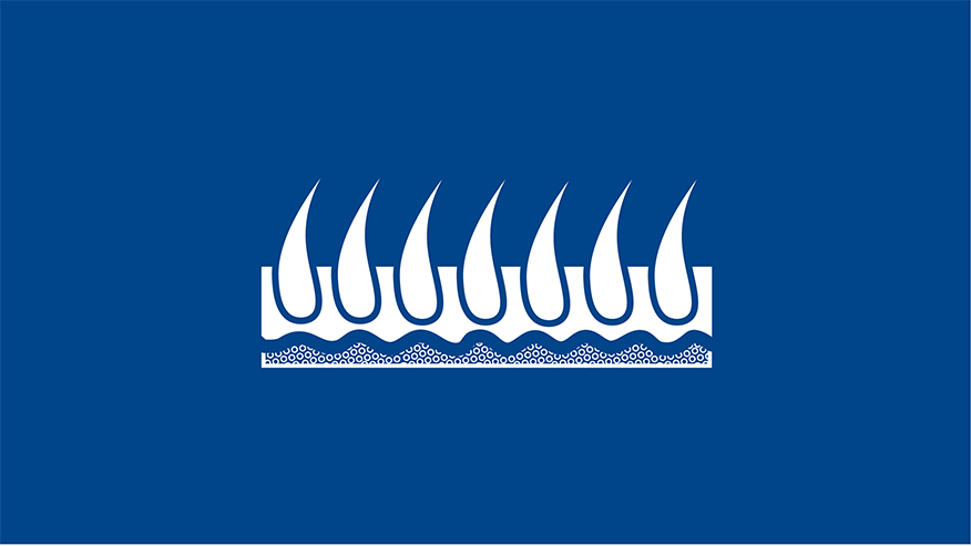 876x493 leon springs AllergyItchySkin