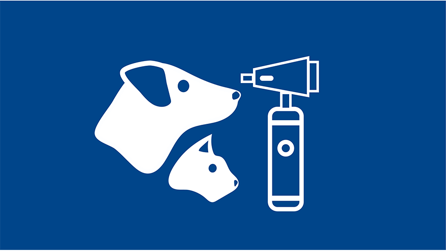 876x493 leon springs EarChecks